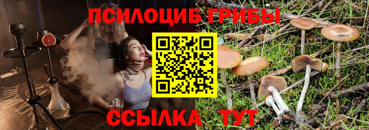 Галлюциногенные грибы GOLDEN TEACHER Кимры
