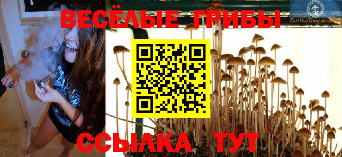 Кимры  Псилоцибиновые грибы MAGIC MUSHROOMS  Вход с VPN  Псилоцибиновые грибы Cubensis 